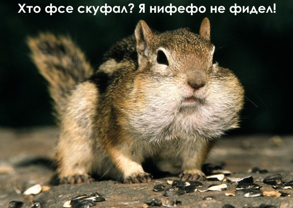  (600x425, 69Kb)