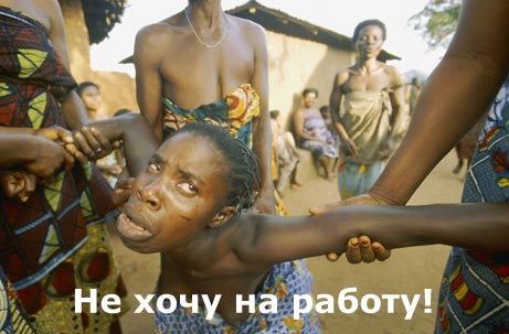  (461x303, 31Kb)