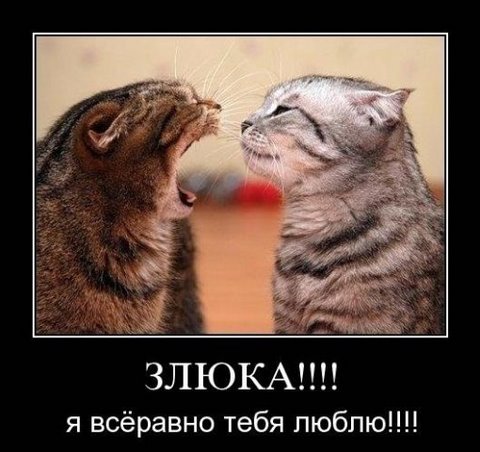  (480x452, 43Kb)