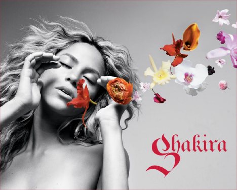 Shakira (468x375, 34Kb)