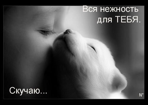 (500x356, 20Kb)