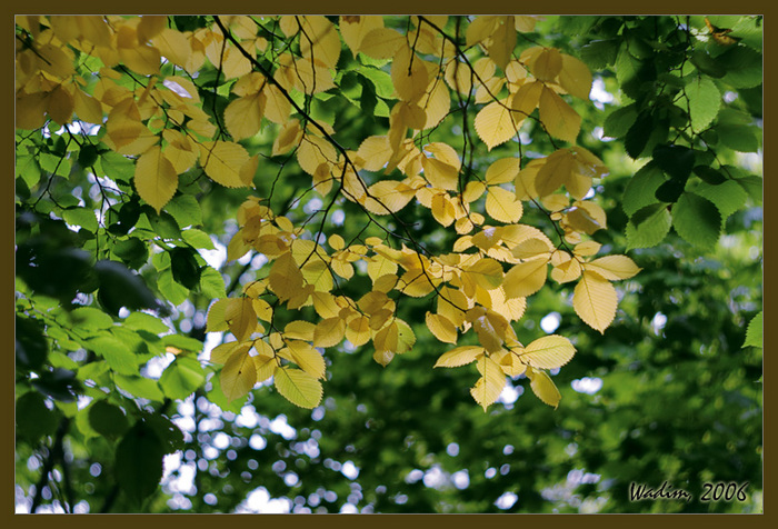 autumn (700x476, 237Kb)