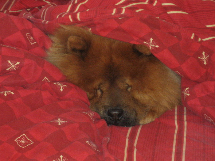 by (3) (700x525, 94Kb)