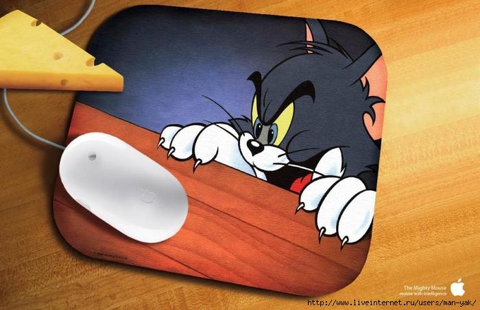  (700x453, 47Kb)