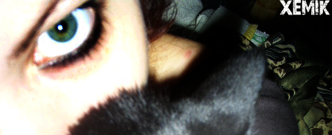 Picture 118 (480x195, 99Kb)