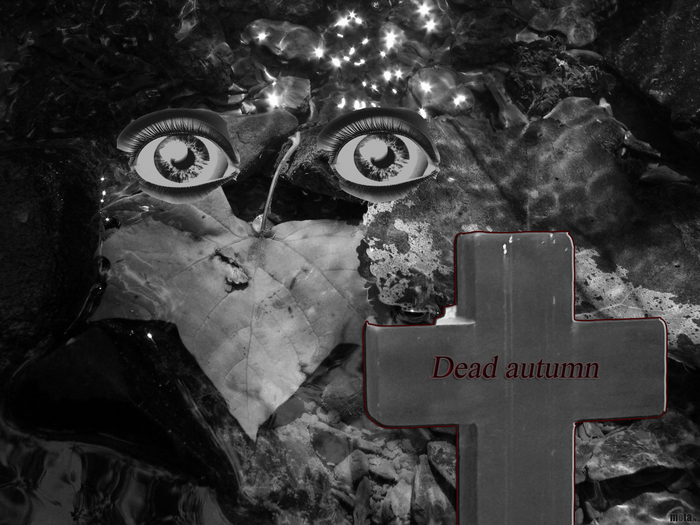 Dead autumn (700x525, 245Kb)