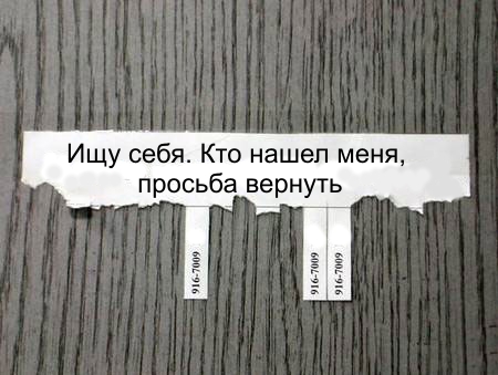 19889351_15265201_10934986_4867265_2623164_21182574_11901338_8978203[1] (450x339, 68Kb)