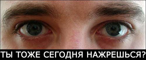  (500x207, 33Kb)