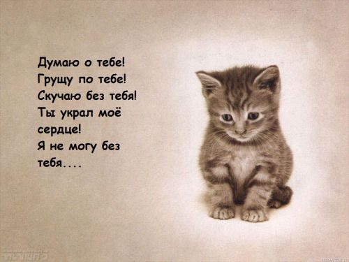  (500x375, 28Kb)