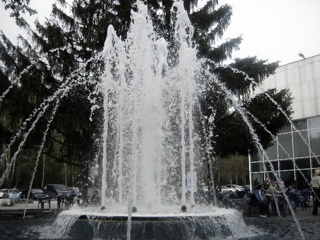 (640x480, 137Kb)