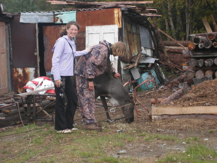 IMGP0347 (700x525, 142Kb)