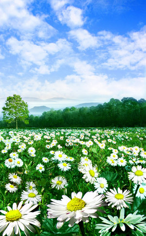 23079670_6816977_6148717_4675636_4157750_520464_spring_time (300x483, 69Kb)