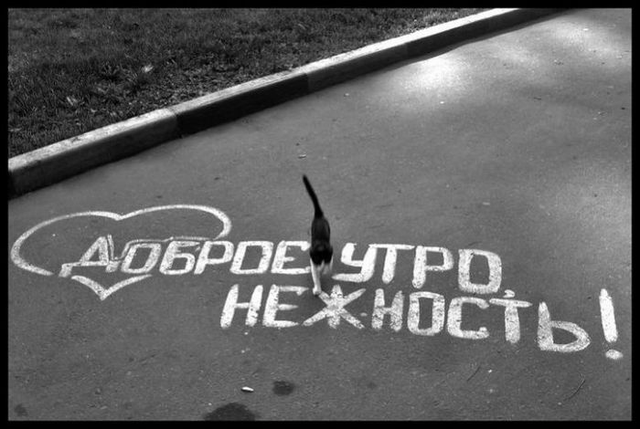 Утро без тебя картинки