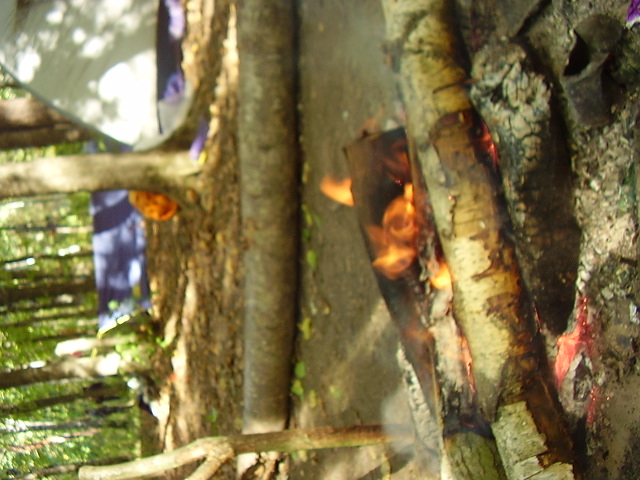 P6280184 (640x480, 132Kb)