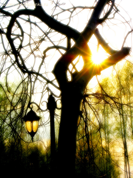 http://img1.liveinternet.ru/images/attach/b/2/2/767/2767099_3305354.jpg
