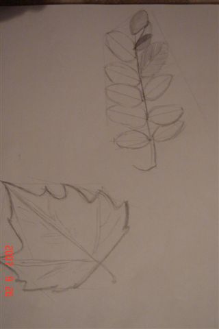 DSC02586 (320x480, 10Kb)