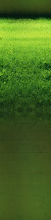  (51x220, 29Kb)