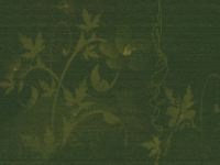  (200x150, 48Kb)
