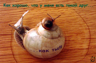  (400x264, 39Kb)