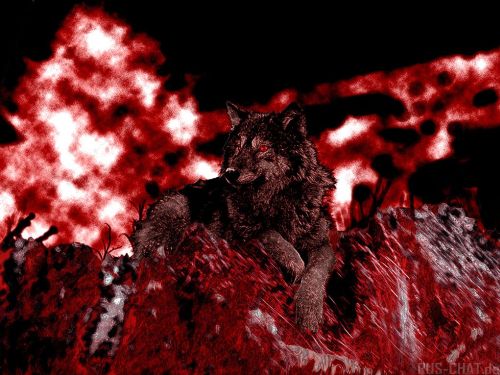  (500x375, 45Kb)