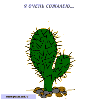 kaktus (325x325, 32Kb)