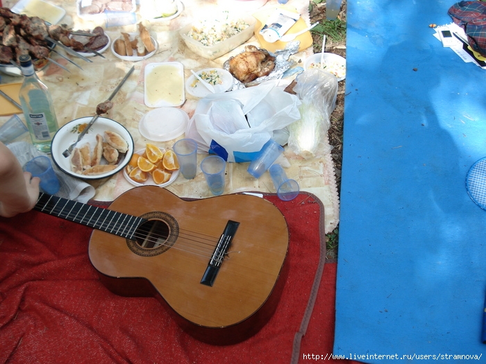 DSC00596 (700x525, 234Kb)