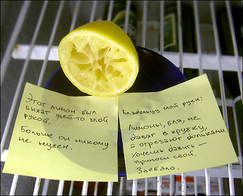 7ef4e07261db45b2 (502x405, 113Kb)