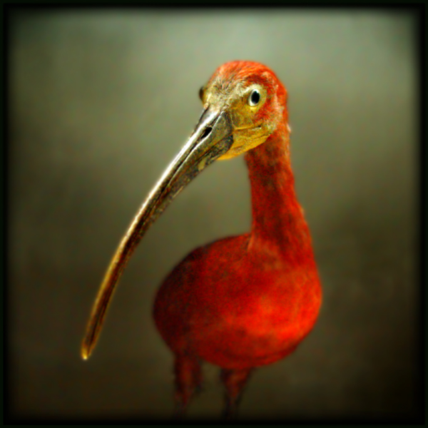  (600x600, 168Kb)