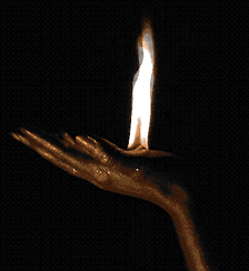    (224x244, 202Kb)