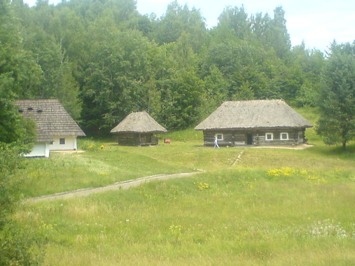 DSC00169 (700x525, 67Kb)