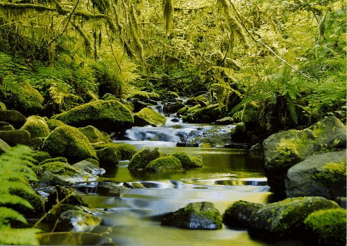 water (500x354, 3112Kb)