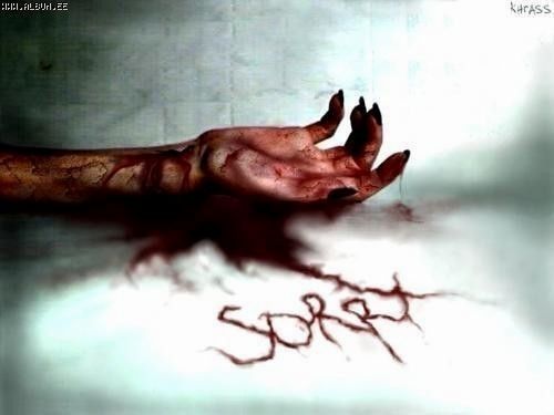  (500x375, 20Kb)