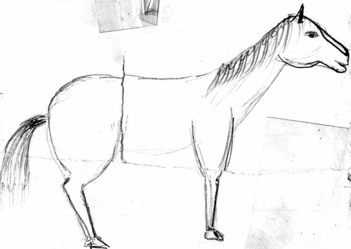 Рисунок лошади на дыбах карандашом