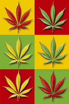 23134900_15610580_12022048_8705732_Fon_Marihuana (241x360, 22Kb)