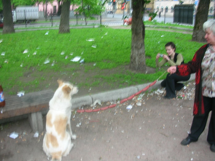  (700x525, 126Kb)