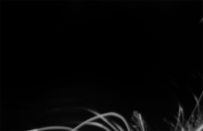  (203x131, 228Kb)