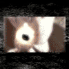  (100x100, 38Kb)