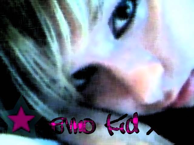  (640x480, 53Kb)