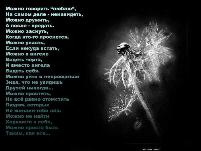   (700x525, 124Kb)