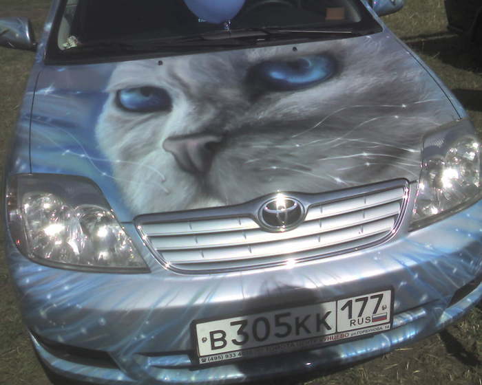  (700x560, 43Kb)