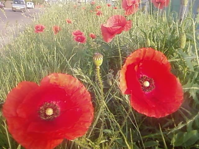  (640x480, 59Kb)