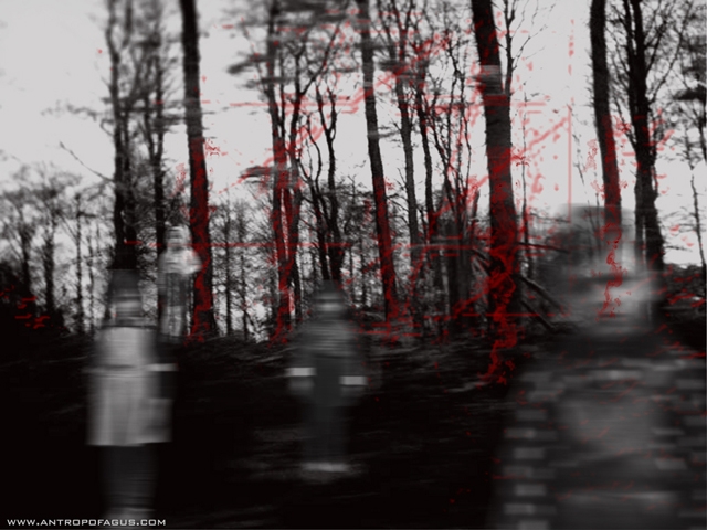 (640x480, 201Kb)