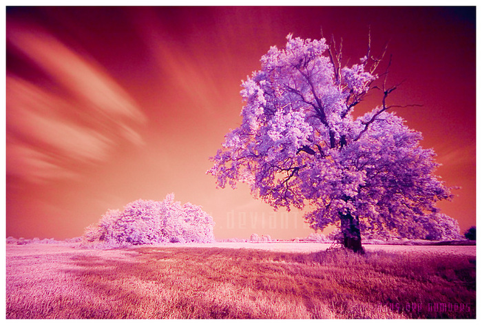  (700x472, 256Kb)