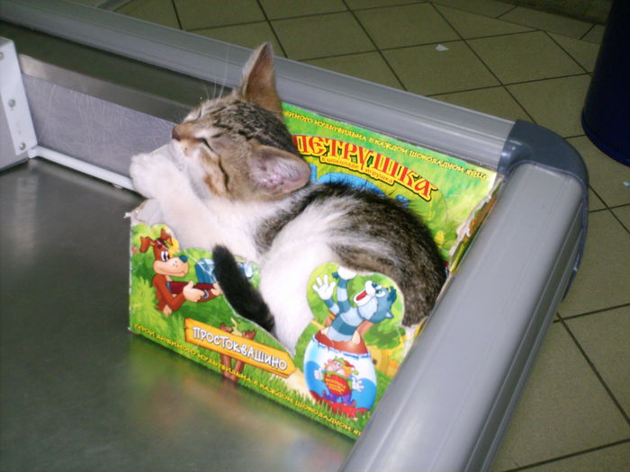 HPIM1892 (700x525, 93Kb)