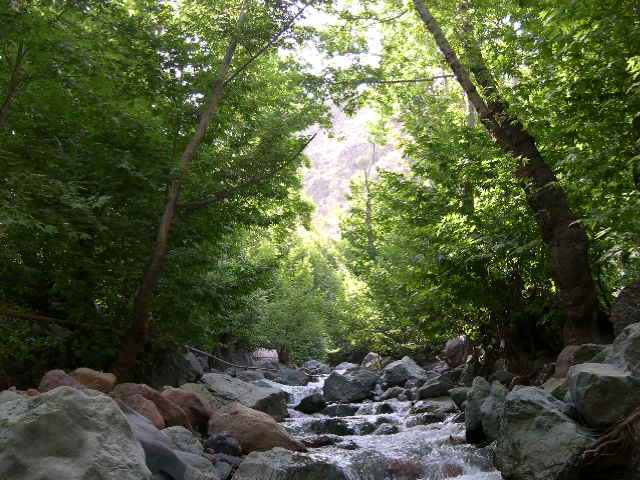 Варзобское ущелье таджикистан фото