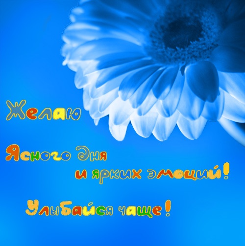  (500x503, 68Kb)