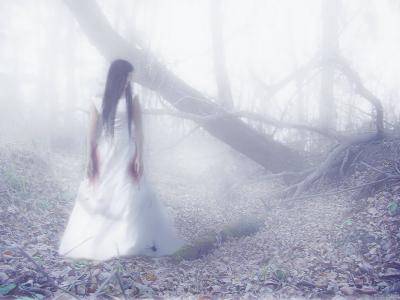 Lost in the white (400x300, 16Kb)