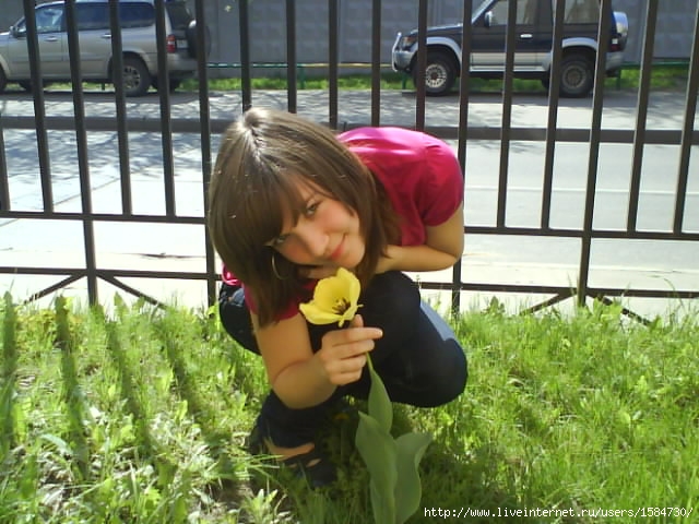 DSC00488 (640x480, 89Kb)