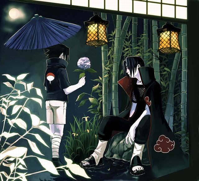 http://img1.liveinternet.ru/images/attach/b/2/23/973/23973890_1209630155_Itachi_and_Sasuke_131.jpg