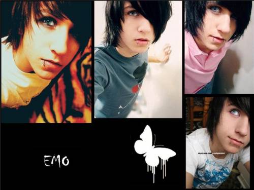 (500x375, 26Kb)